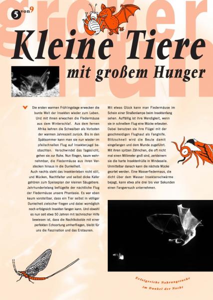 Flyer Kleine Tiere mit großem Hunger (Wovon sich Fledermäuse ernähren)